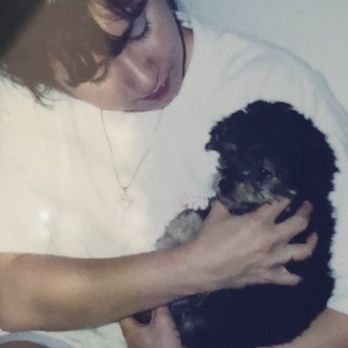 Gentle Pet Passings - This is Winnie when she was 8 weeks old. I love you Winnie. - Veterinarians Near Me Gentle Pet Passings - This is Winnie when she was 8 weeks old. I love you Winnie. - Veterinarians Near Me