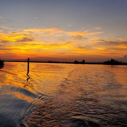 Eco-Tours of South Mississippi