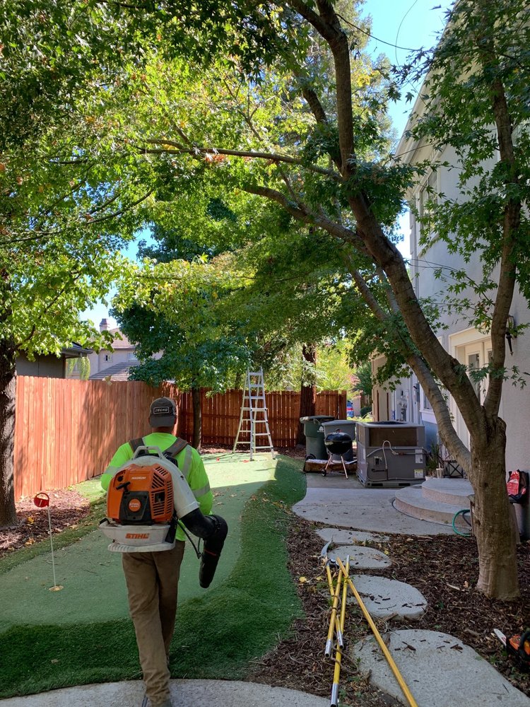 DESTINY TREE CARE 18 Reviews 8300 Sunrise Blvd, Citrus Heights, CA