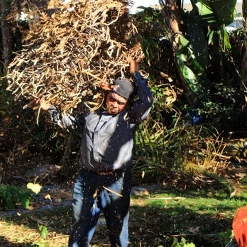 Calis landscaping - Tree Services Near Me Calis landscaping - Tree Services Near Me