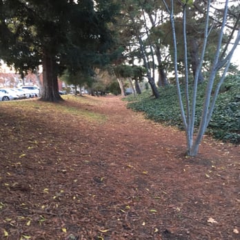 Cuesta Park - Parks Near Me - Mountain View, California