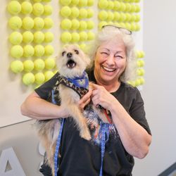 Humane Fort Wayne - A Yorkshire terrier being adopted!
