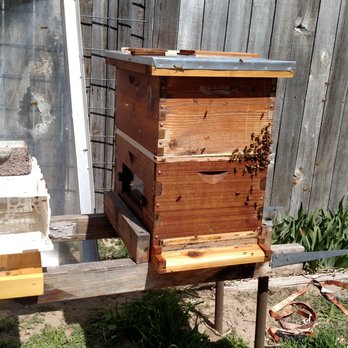 Bee Built - SBB, windowed deep hive body, and the top are all from Bee Built. - Home & Garden Near Me - Milwaukie, Oregon