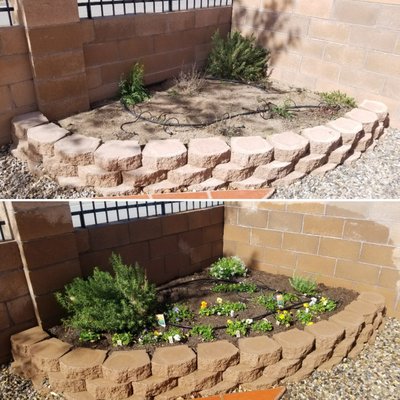 Garden Services - Need your garden serviced? Maintenance, installation, & design - we do it all.
***Minimum 1 Hour Charge: $89.00 + Tax
Call us for a free estimate today: (505) 999-6908 Garden Services - Need your garden serviced? Maintenance, installation, & design - we do it all.
***Minimum 1 Hour Charge: $89.00 + Tax
Call us for a free estimate today: (505) 999-6908