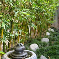 Pastimes For A Lifetime - Zen Garden
