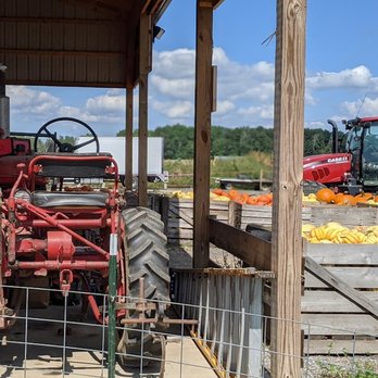 Greg's U-Pick - I'm sure there is more than two tractors around :). - Pick Your Own Farms Near Me - Clarence Center, New York