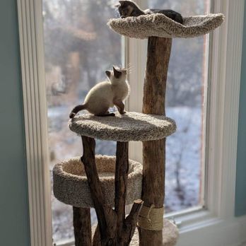 Cat Tree Kingdom - Cat Trees & Scratching Posts : Mixed Tray 4 (2 Platforms, 1 Curve, 1 Tray) - Retails for $310 + Delivery. Wholesale & Retail options. - Carpenters Near Me Cat Tree Kingdom - Cat Trees & Scratching Posts : Mixed Tray 4 (2 Platforms, 1 Curve, 1 Tray) - Retails for $310 + Delivery. Wholesale & Retail options. - Carpenters Near Me