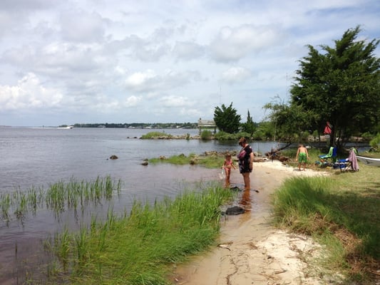 Carolina Beach State Park by null
