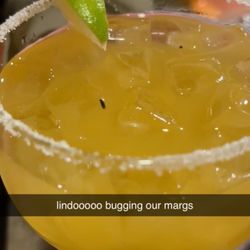 Mi Mexico Lindo - Bug in drink
