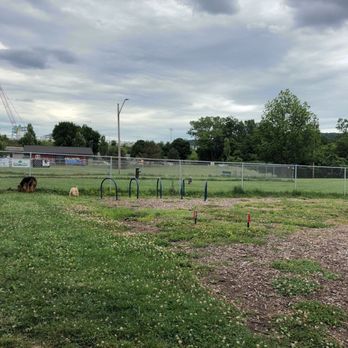 Cheri A Lindsey Dog Park - Dog Parks Near Me - Binghamton, New York Cheri A Lindsey Dog Park - Dog Parks Near Me - Binghamton, New York