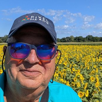 Chunkay - I look forward to this sunflower field every year - Personal Chefs Near Me
