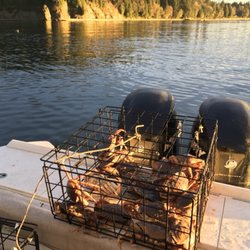 Bonnie Lee Fishing Charters - Crabs!