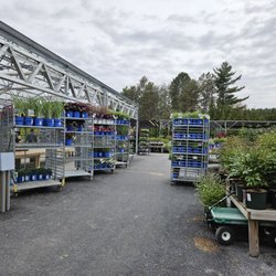 Faddegon's Nursery - Spring '26!