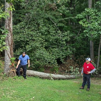 Mitchell Tree & Stump Service - Tree Services Near Me - Fredericksburg, Virginia Mitchell Tree & Stump Service - Tree Services Near Me - Fredericksburg, Virginia
