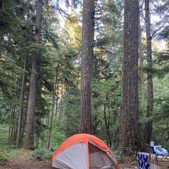 Moss Creek Campground - Site 16! - Campgrounds Near Me - Bingen, Washington