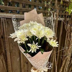 Vanilla Bloom Flowers