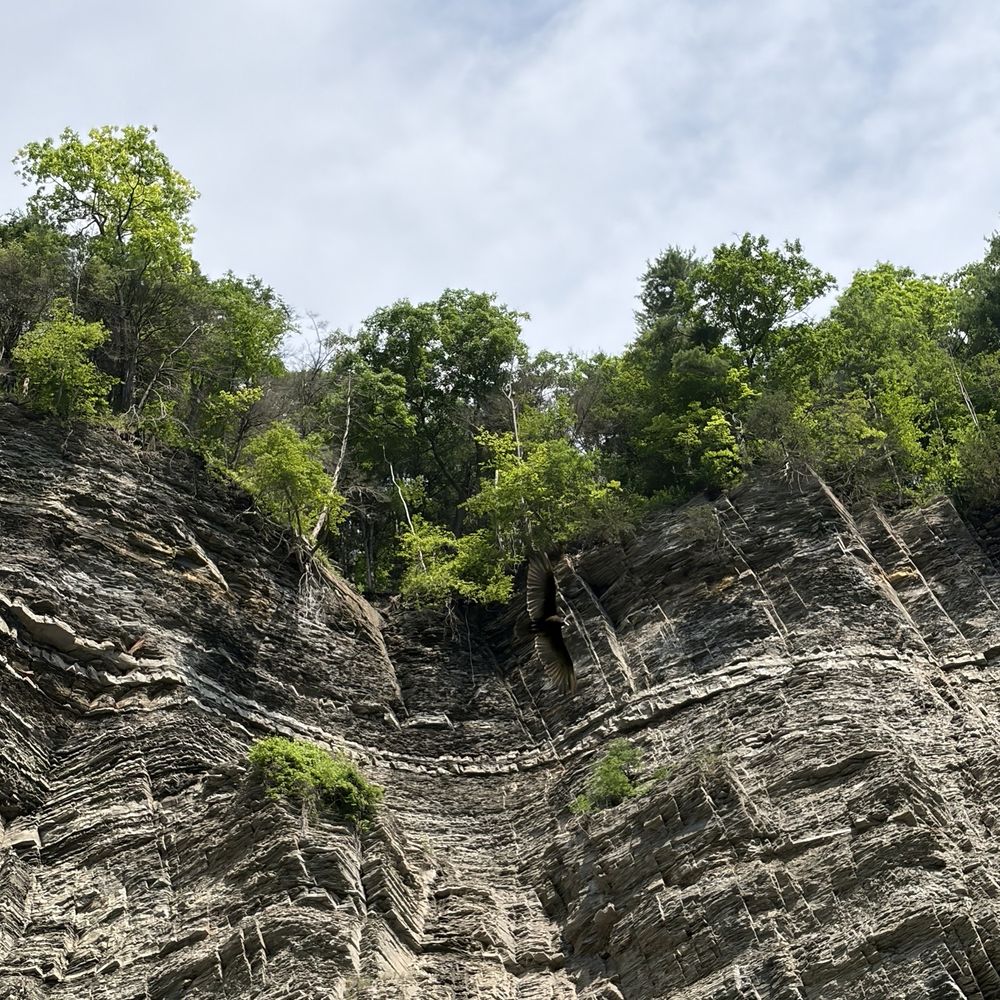 Taughannock Falls State Park - Hiking Near Me - Trumansburg, New York