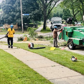 Forester Tree Service - Crew made sure the area was cleaned up after and left no damage to the property. - Tree Services Near Me - Milwaukee, Wisconsin