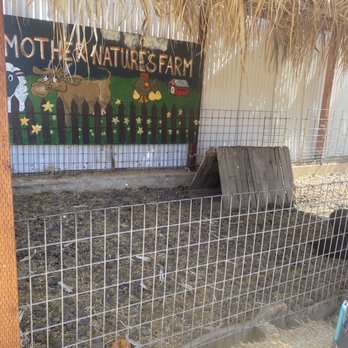 Mother Nature's Farm - This is where the pigs were. - Farms Near Me - Gilbert, Arizona Mother Nature's Farm - This is where the pigs were. - Farms Near Me - Gilbert, Arizona