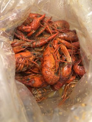 Big EZ Seafood by null