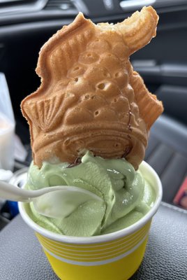 Mad for Cheesecake by null