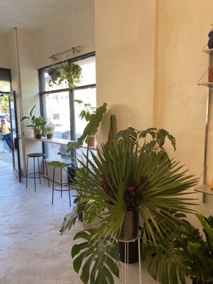 Botani Cafe by null
