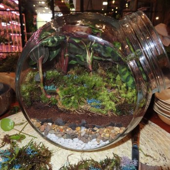 Spotted Leaf Plant Company - From the enclosed terrarium making class! - Nurseries & Gardening Near Me - Somerville, New Jersey Spotted Leaf Plant Company - From the enclosed terrarium making class! - Nurseries & Gardening Near Me - Somerville, New Jersey