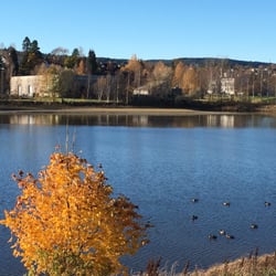 Nebbursvollen - Gåtur til Nebbursvollen , fin gåtur langs elva :-)