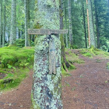 Fløyen utsiktspunkt - Hiking Near Me - Bergen, 12