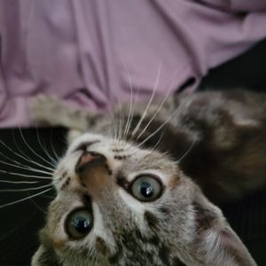 Geeky Teas & Games on Yelp