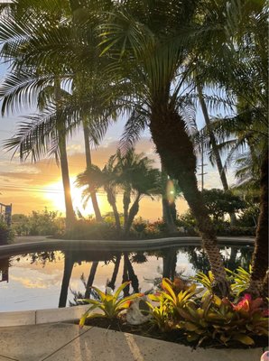 Pineapple Inn Maui by null