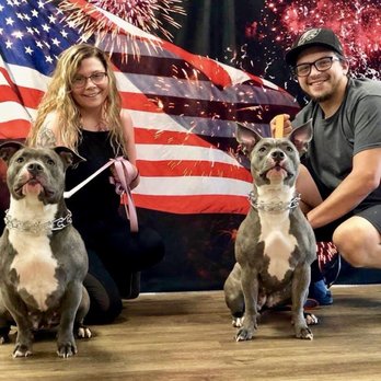 Three Dog Bakery - Kingston - July 4th back drop - Pet Stores Near Me - Kingston, Pennsylvania Three Dog Bakery - Kingston - July 4th back drop - Pet Stores Near Me - Kingston, Pennsylvania