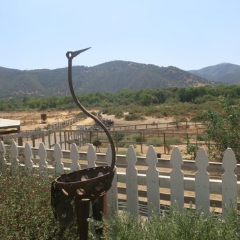 Ostrichland USA - Attraction Farms Near Me - Solvang, California
