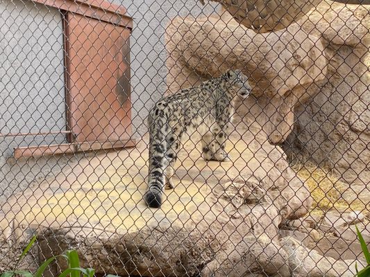 ABQ BioPark Zoo by null