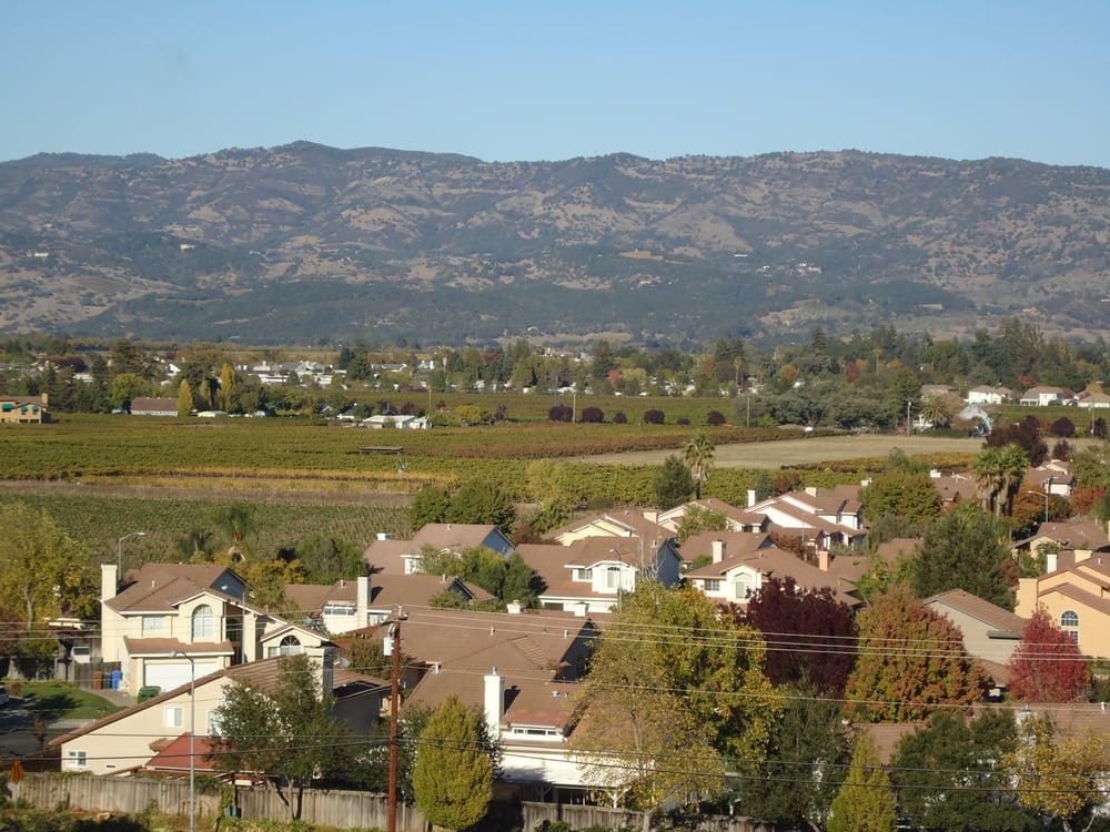 HEDGEROW PROPERTY MANAGEMENT Updated September 2024 34 Reviews