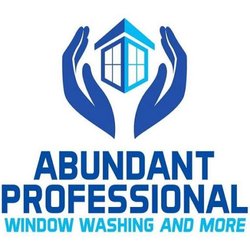 Abundant Professional Window Washing and more