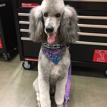 Feldspar Pet Spa - Pet Groomers Near Me - Davis, California Feldspar Pet Spa - Pet Groomers Near Me - Davis, California