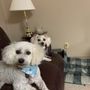 Photo of EarthWise Pet Supply & Grooming Newton