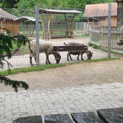 Streichel Zoo Kappel