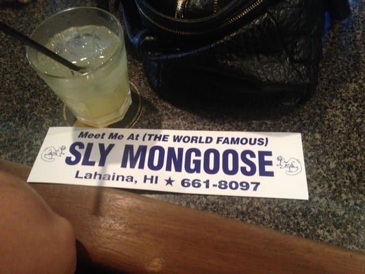 Sly Mongoose by null