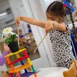 The Joy of Learning