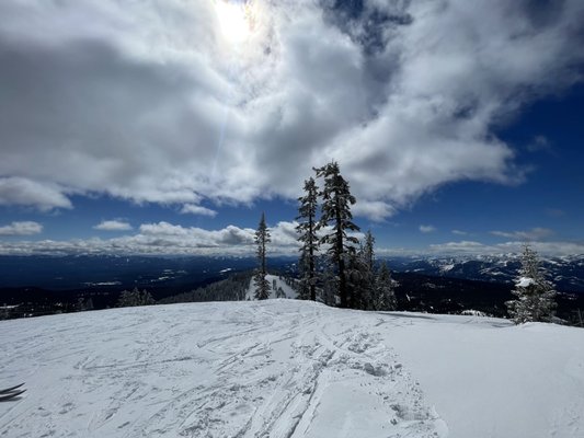 Mt. Shasta Ski Park by null