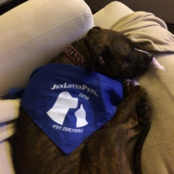 JenLovesPets - Dog Walkers Near Me - San Diego, California JenLovesPets - Dog Walkers Near Me - San Diego, California