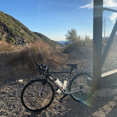 dialed in bike fitting