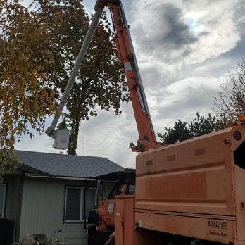 BMG Tree Service - Finally able to use the truck!! - Tree Services Near Me - Pasco, Washington BMG Tree Service - Finally able to use the truck!! - Tree Services Near Me - Pasco, Washington