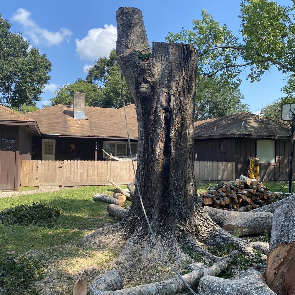 Garcia's Tree Expert - Tree Services Near Me Garcia's Tree Expert - Tree Services Near Me