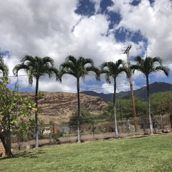 L&K Lawn Maintenance Service - After