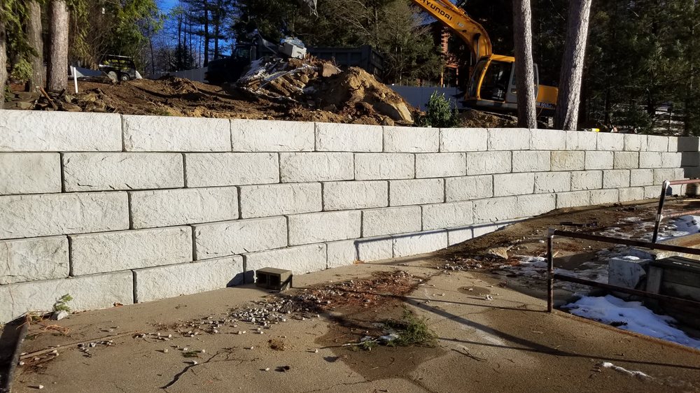 Slide of A Bee Septic