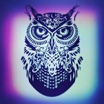 Blue Owl Bar - an owl on a purple background - Sports Bars Near Me - Ames, Iowa Blue Owl Bar - an owl on a purple background - Sports Bars Near Me - Ames, Iowa