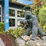 Photo of Vero Fitness